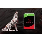 Seagate IronWolf Pro NAS hard drive